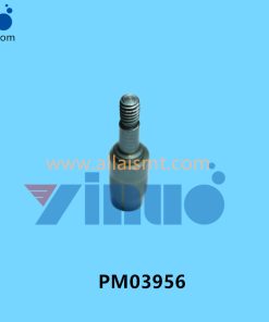 PM03956 NXT ECCENTRIC PIN