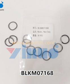 UNIVERSAL AI BLKM07168 Washer, Wave sprg