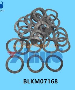 BLKM07168 Universal AI WAVE SPRING WASHER