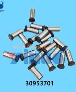 30953701 Universal AI PIN