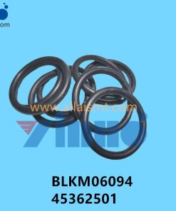 BLKM06094 45362501 Universal AI O-RING