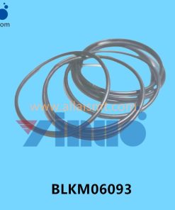 BLKM06093 Universal AI O-RING