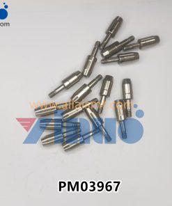 PM03967 FUJI PIN,ECCENTRIC